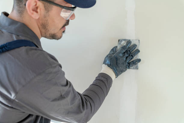 Best Mold Removal for HVAC Installations  in Tullahoma, TN